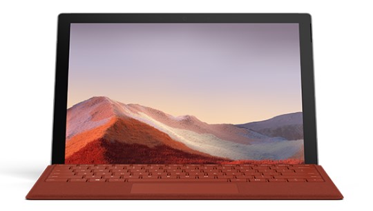 瑞丽清洁和维护 Surface